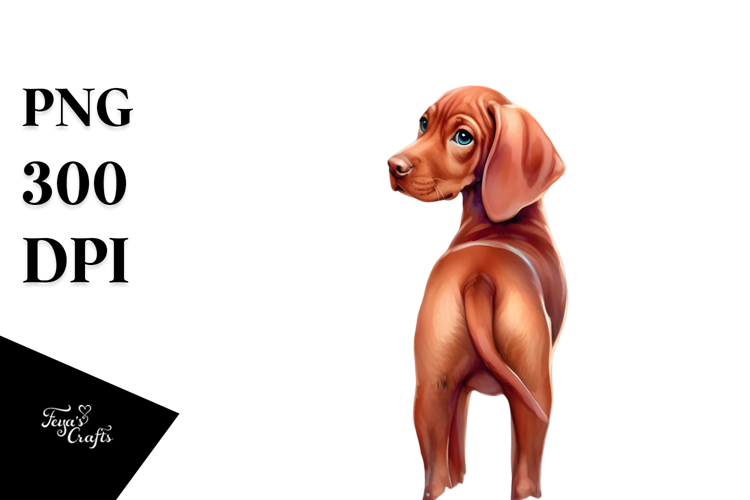 Chicken Clipart Image 17