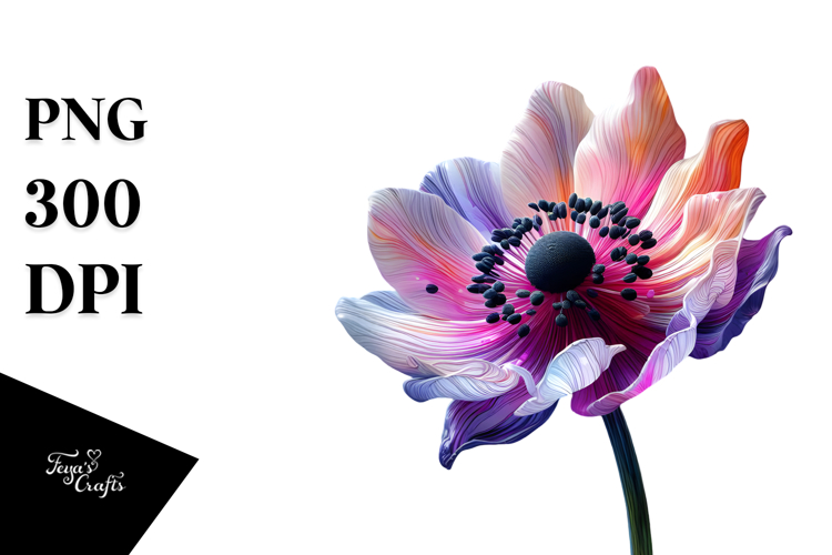 Anemone, Colorful PNG