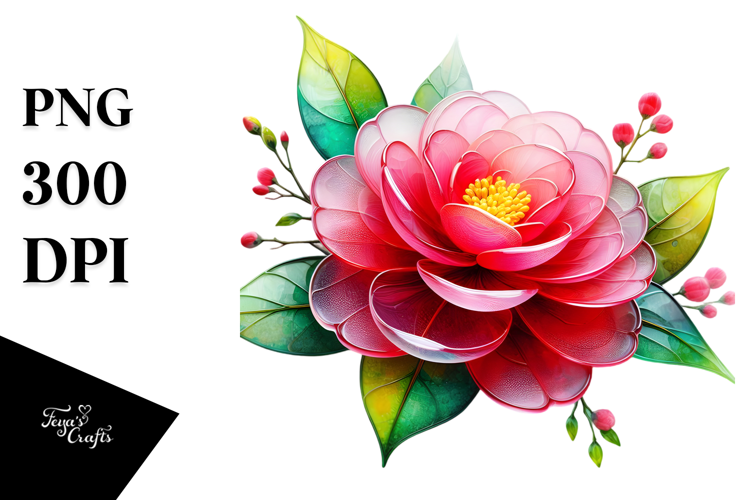 Camellia with Watercolor Splash PNG