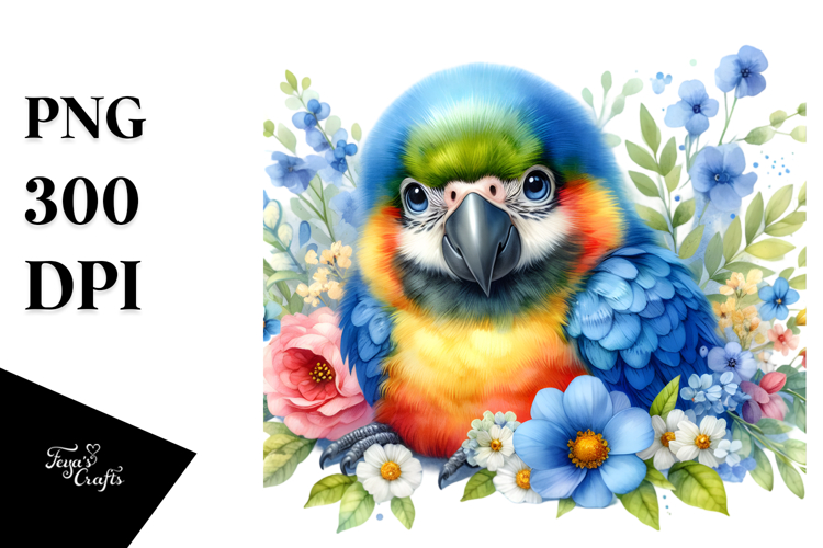 Macaw Clipart Image 7