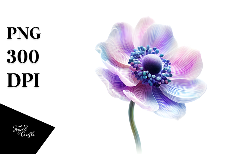 Anemone with Watercolor Splash, High-Quality PNG