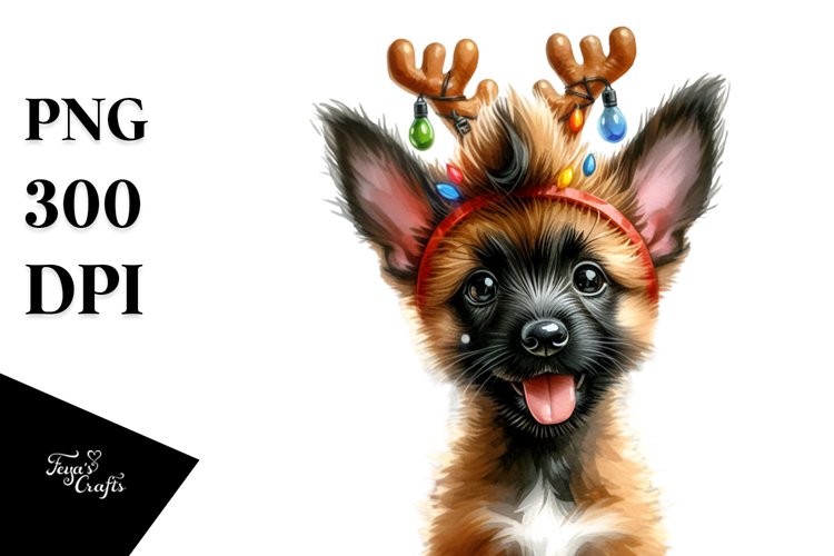 Vibrant Malinois, Festive PNG example image 1