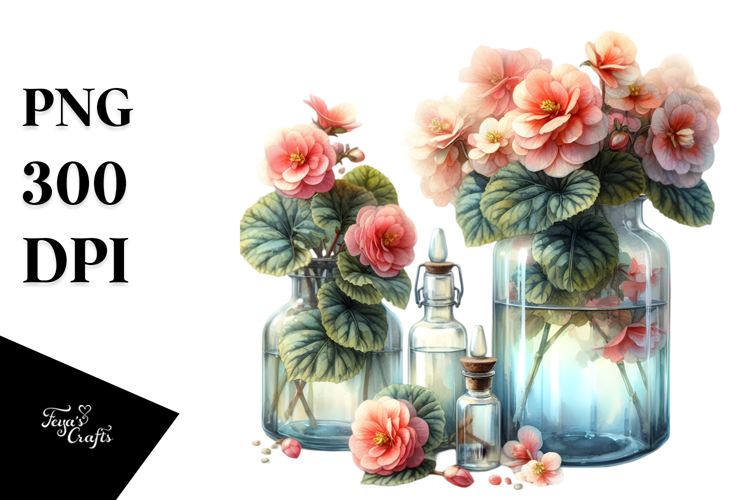 Watercolor Bottle Begonia | Clipart