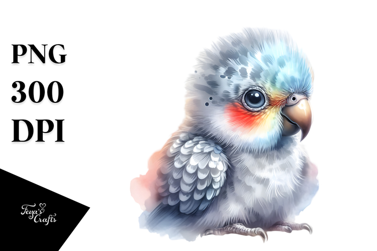 Parrot Clipart Image 12