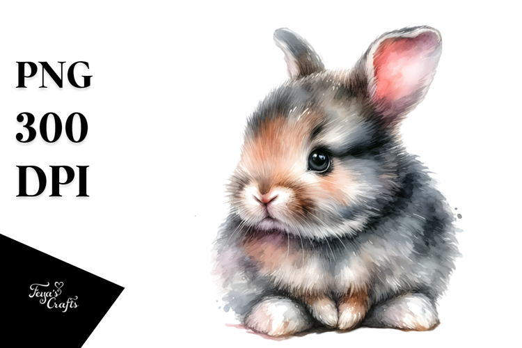 Rabbit Png Image 3