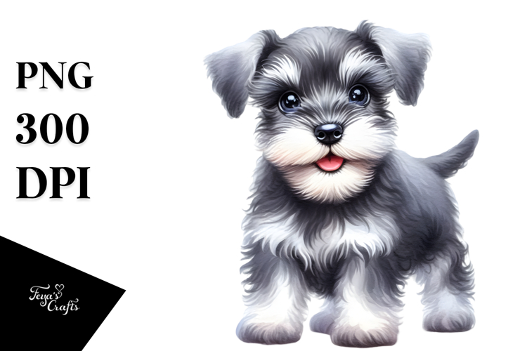 Happy Baby Miniature Schnauzer PNG