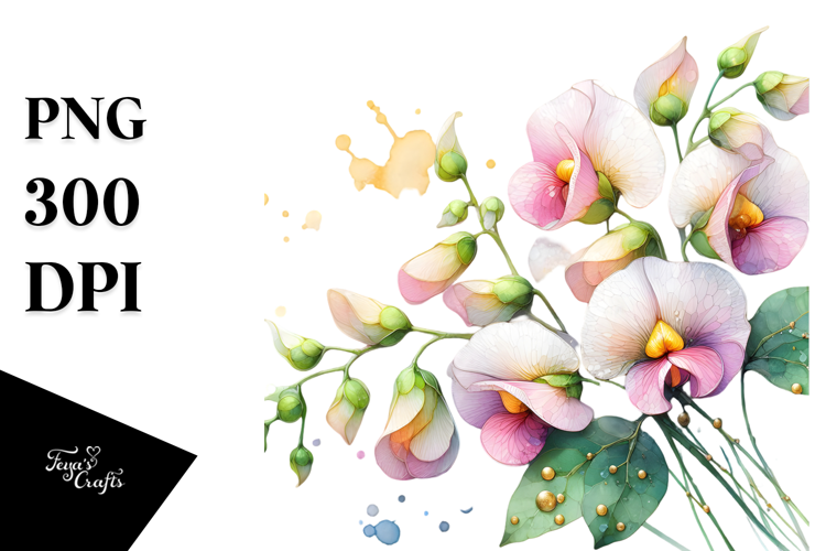 Sweet Pea with Golden Insertions, PNG