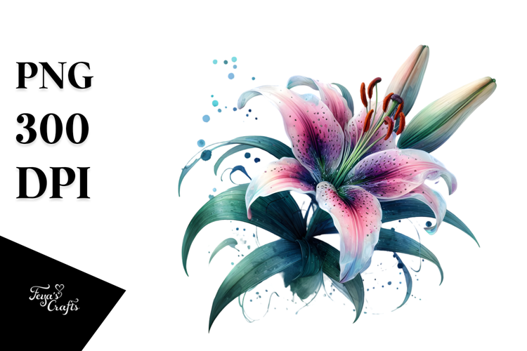 Lily Watercolor, PNG