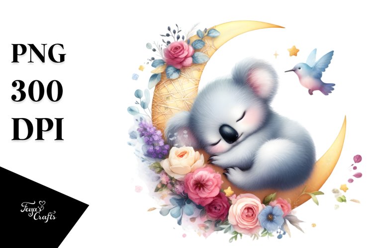 Cute Koala Pictures Image 21