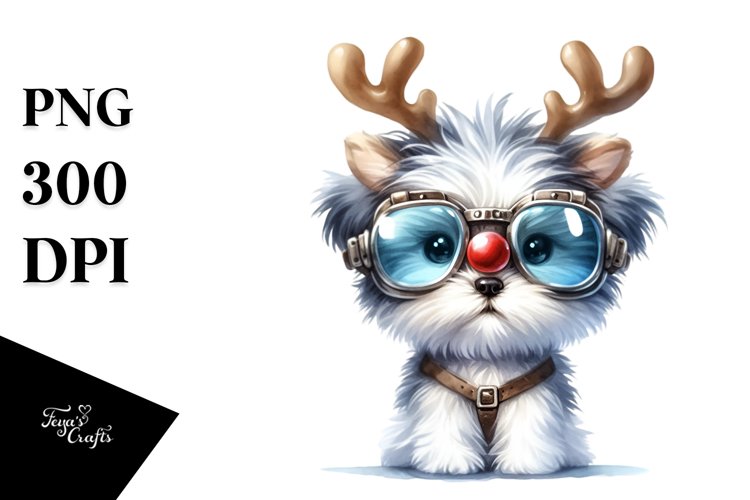 Baby Havanese with Stylish Look, Transparent PNG example image 1