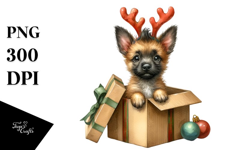 Crazy Malinois Portrait PNG example image 1