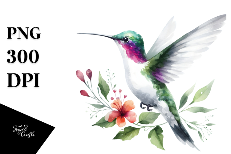 Hummingbird Clipart Image 7
