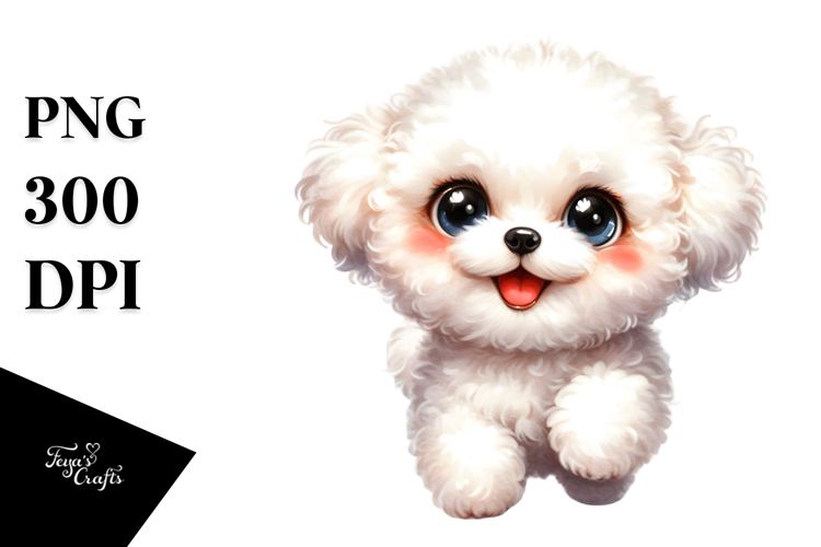 Cute Bichon Frise, PNG
