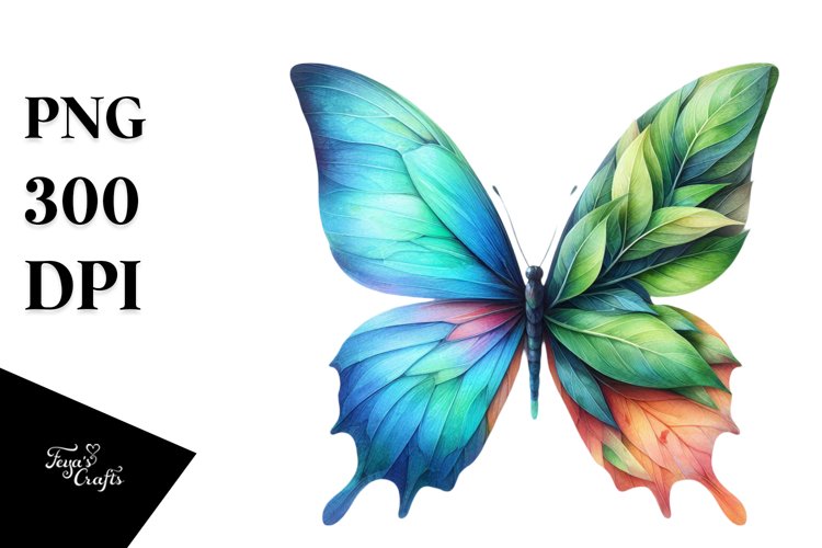 Butterfly Clipart Image 8