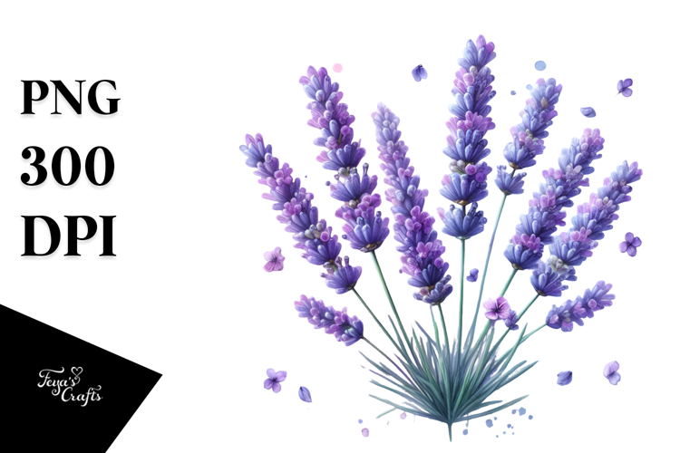 Lavender Png Image 2