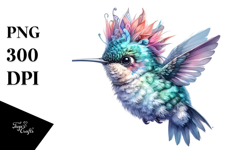 Hummingbird Png Image 15