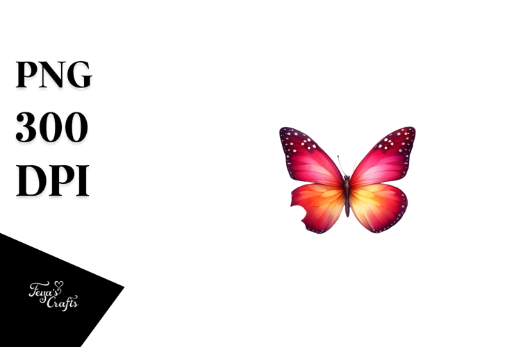 Butterfly Clipart Image 20