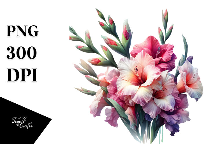 Gladiolus PNG example image 1