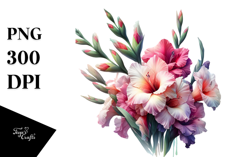 Gladiolus PNG