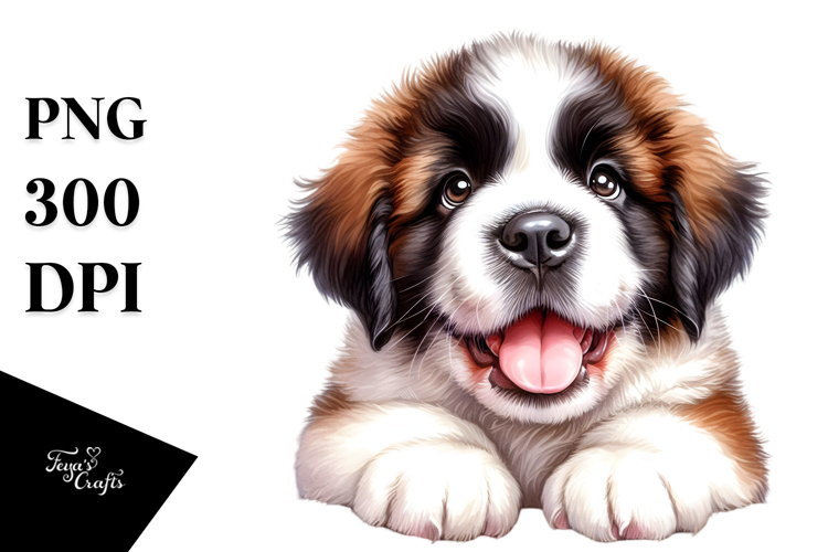 Baby Saint Bernard with Crazy Fur, Transparent PNG