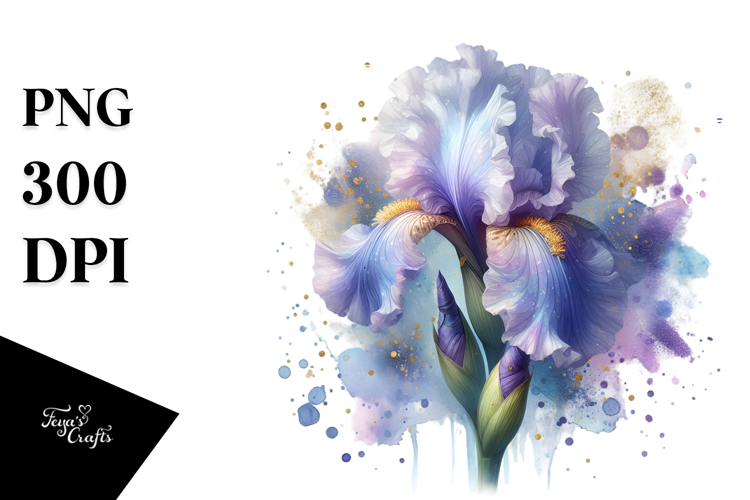 Iris Clipart Image 9