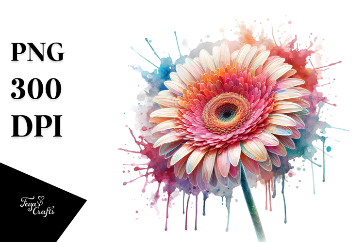 y Gerbera Watercolor PNG