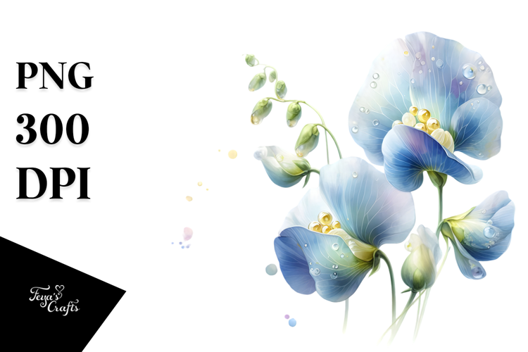 Sweet Pea with Watercolor Splash PNG