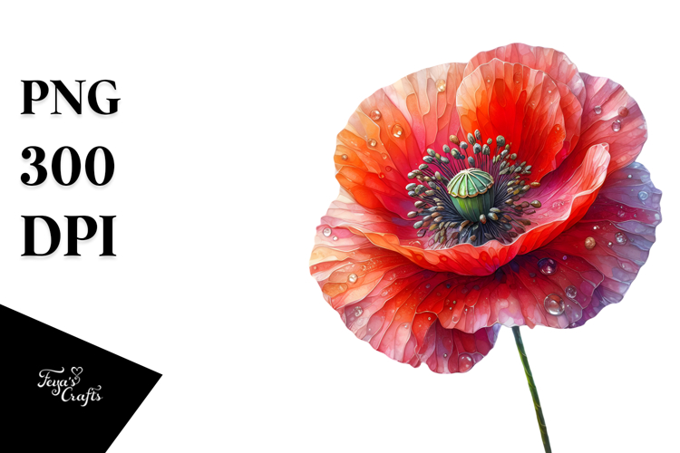 Poppy Clipart Image 4