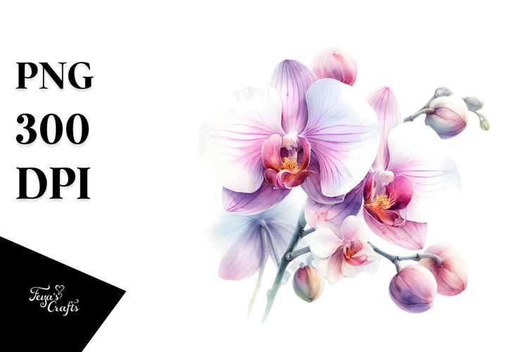 Orchid Clipart Image 15