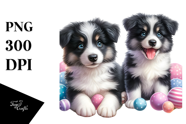 Cute Happy Baby Border Collie with Big Eyes PNG example image 1