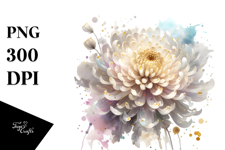 Chrysanthemum Watercolor Splash PNG