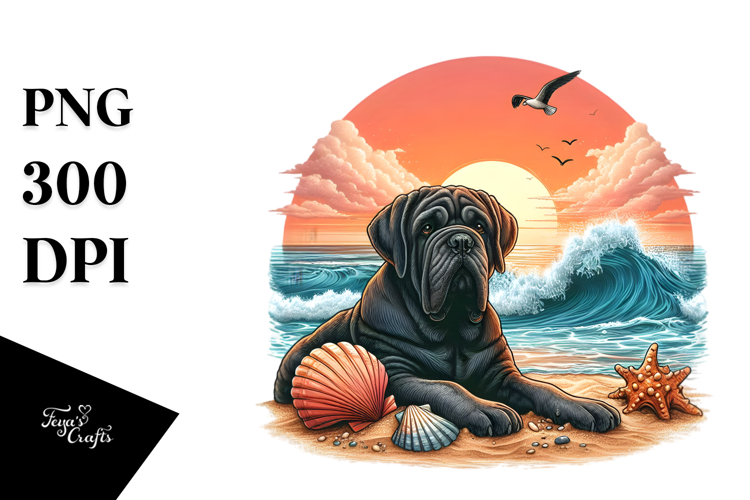 Shell Png Image 15