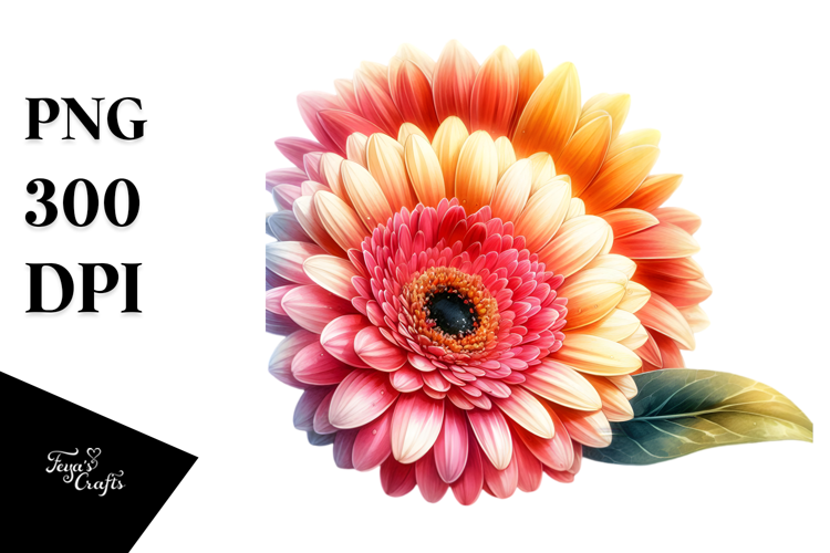 Gerbera Glossy Petals Vibrant