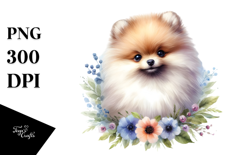 Pomeranian Clipart Image 4