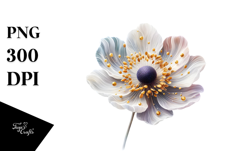 Anemone with Watercolor Splash PNG
