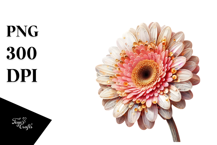 Gerbera with Watercolor Splash PNG