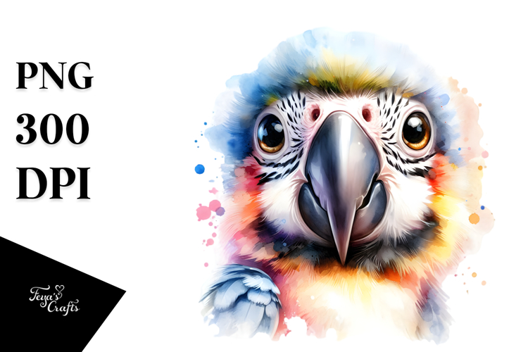 Macaw Clipart Image 23