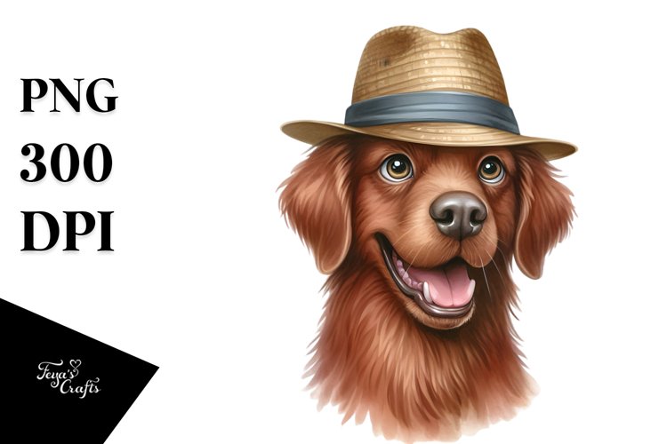 Chesapeake Bay Retriever Funny Haircut