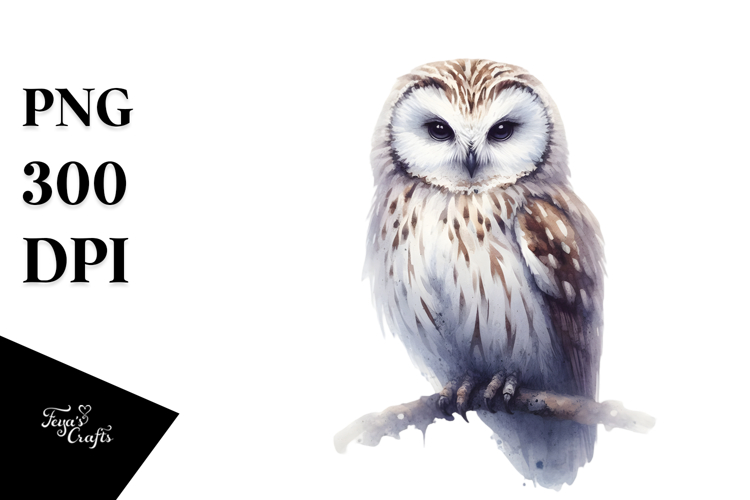 Owl Clipart Image 15
