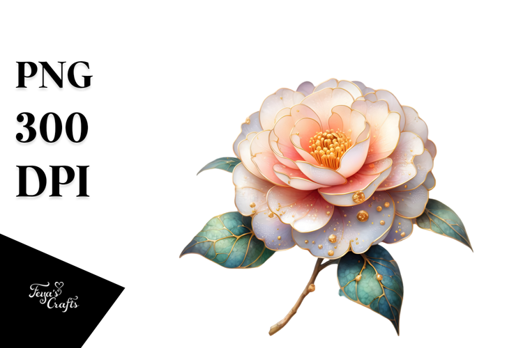 Camellia, Watercolor PNG