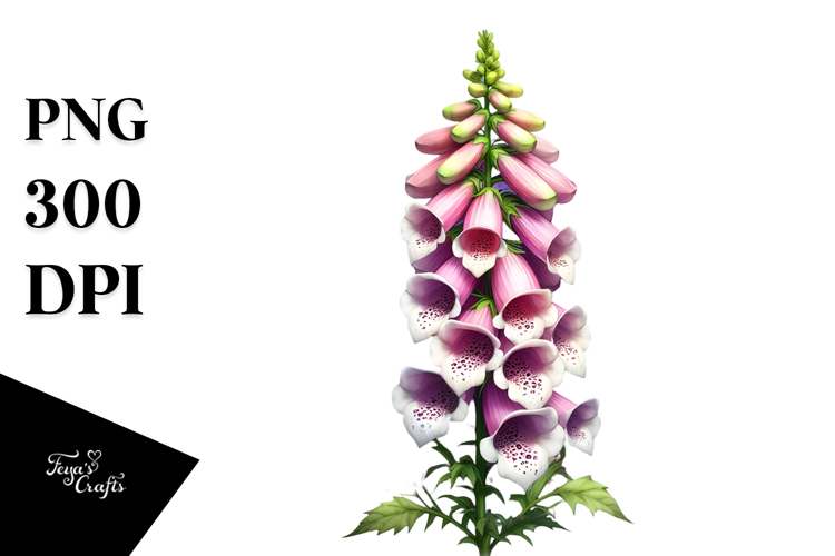 Foxglove made of PNG