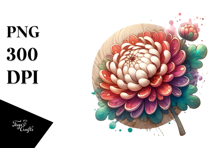 Wooden Shiny Chrysanthemum Splash | Clipart