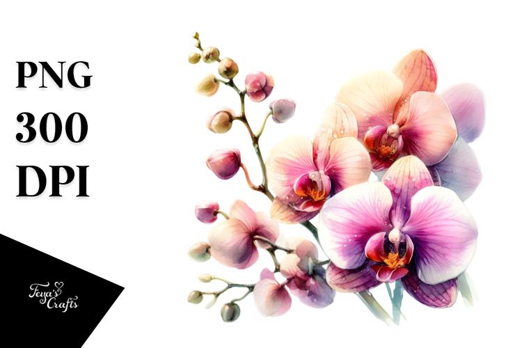 Orchid Clipart Image 20