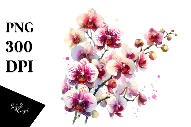 Orchid Clipart Image 19