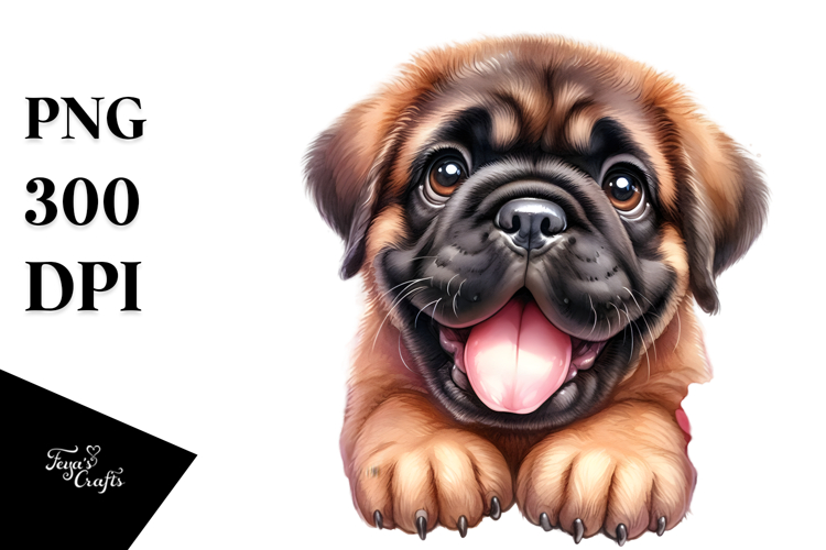 Baby Clipart