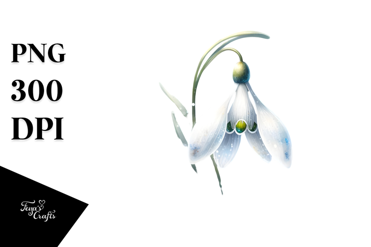 Snowdrop PNG