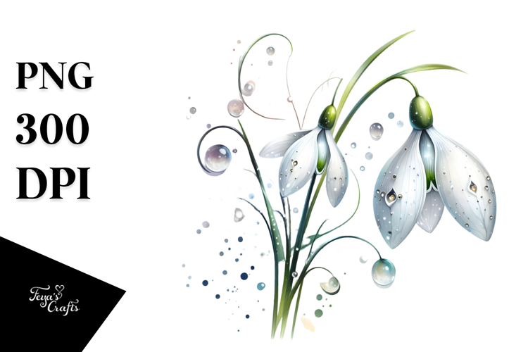 Snowdrop PNG