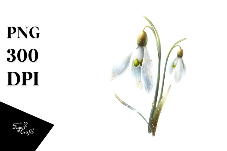 Snowdrop with Golden Insertions, High-Res PNG