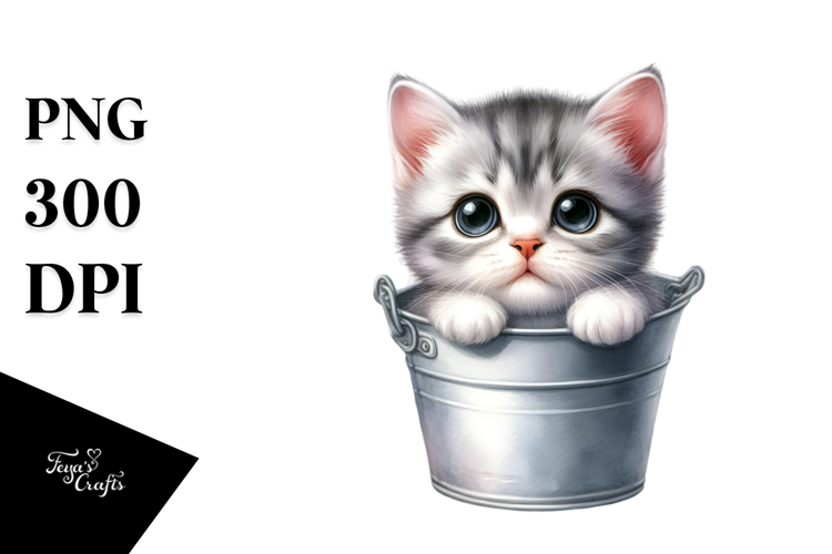 Cute Baby Cat PNG