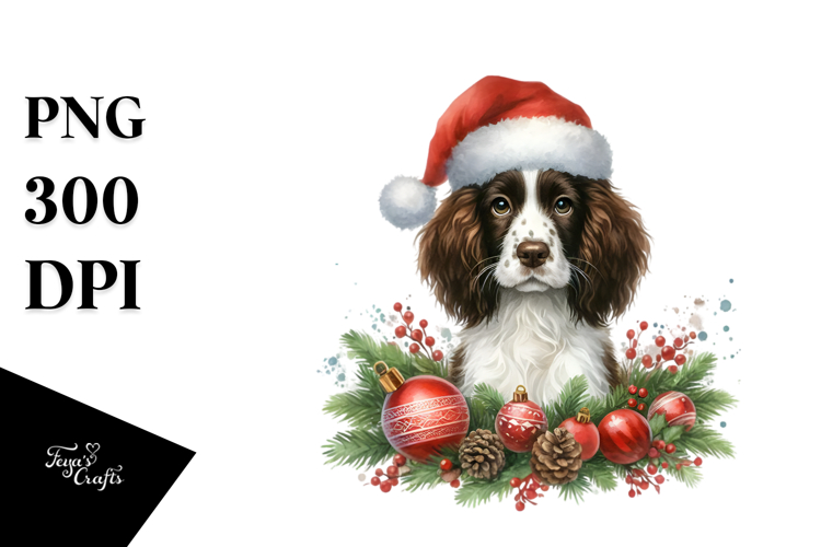 Christmas English Springer Spaniel PNG